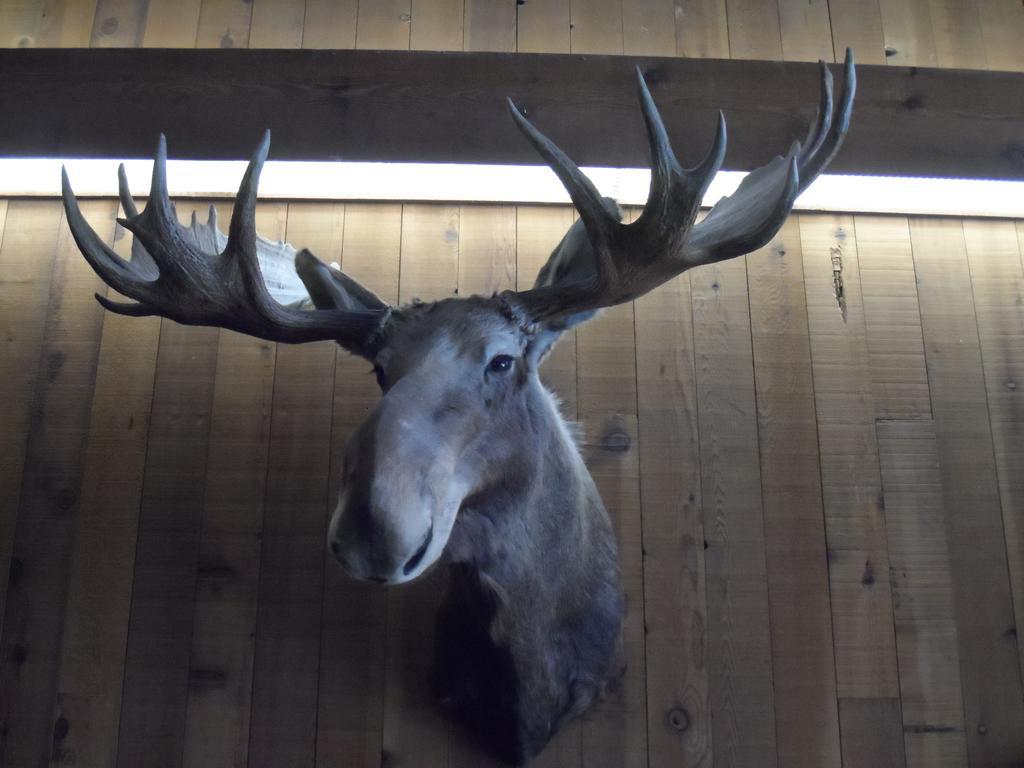 Bear Lodge Motel ซันแดนซ์ ภายนอก รูปภาพ