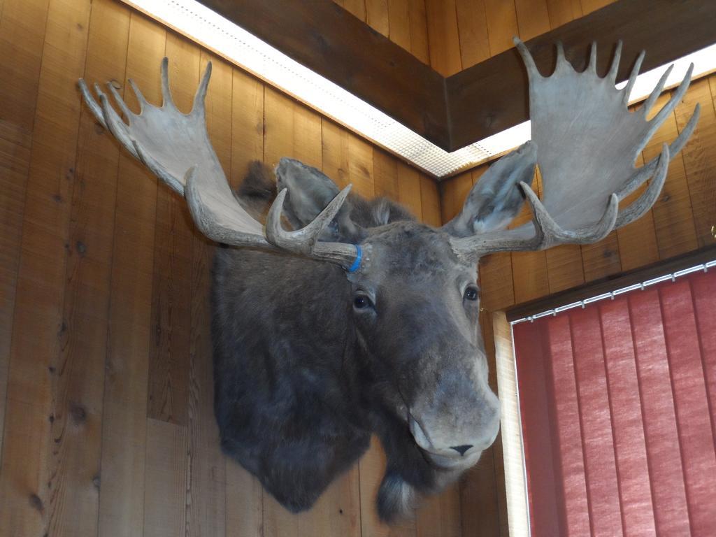 Bear Lodge Motel ซันแดนซ์ ภายนอก รูปภาพ