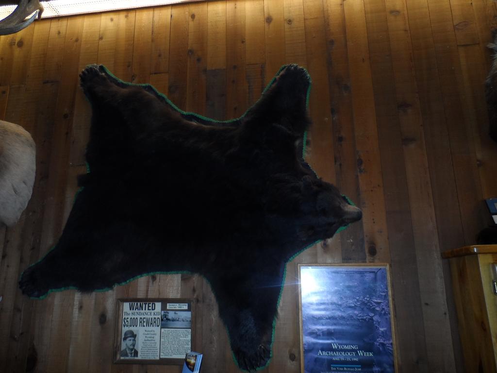 Bear Lodge Motel ซันแดนซ์ ภายนอก รูปภาพ